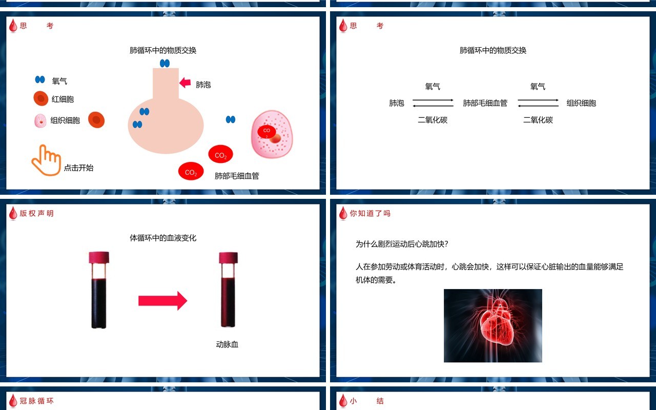 部编版七年级生物下册输送血液的泵——心脏课件PPT模板