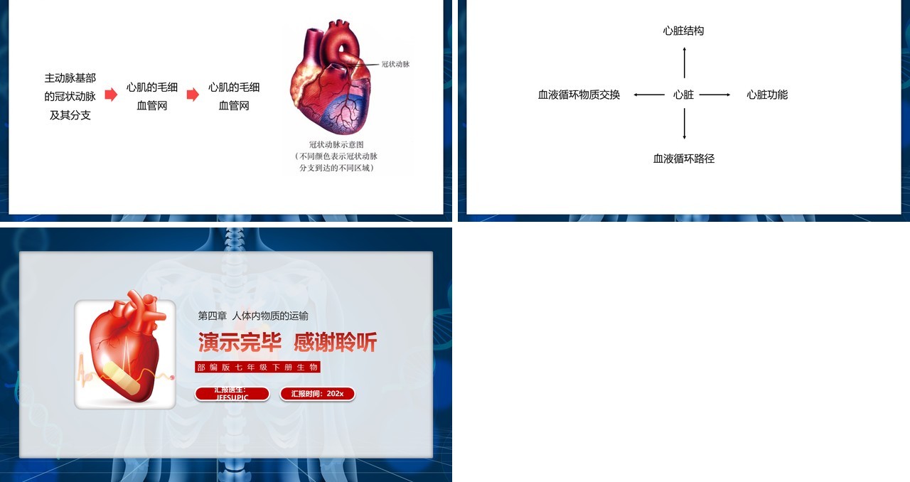 部编版七年级生物下册输送血液的泵——心脏课件PPT模板