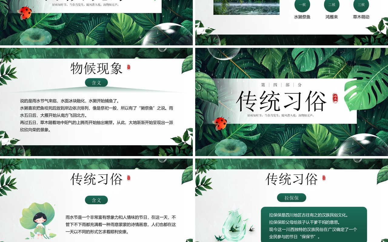 绿色插画风二十四节气之雨水PPT模板