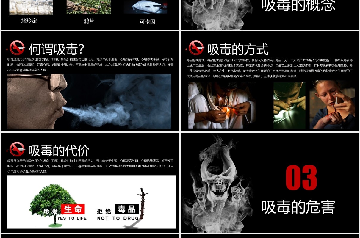黑色远离毒品珍爱生命禁毒知识教育宣传PPT模板