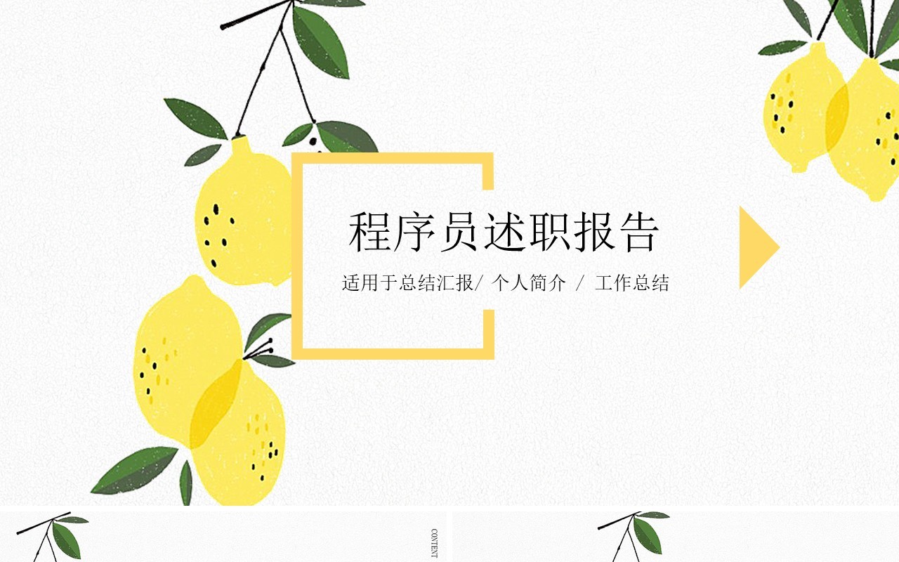 简约程序员个人工作总结述职报告PPT模板