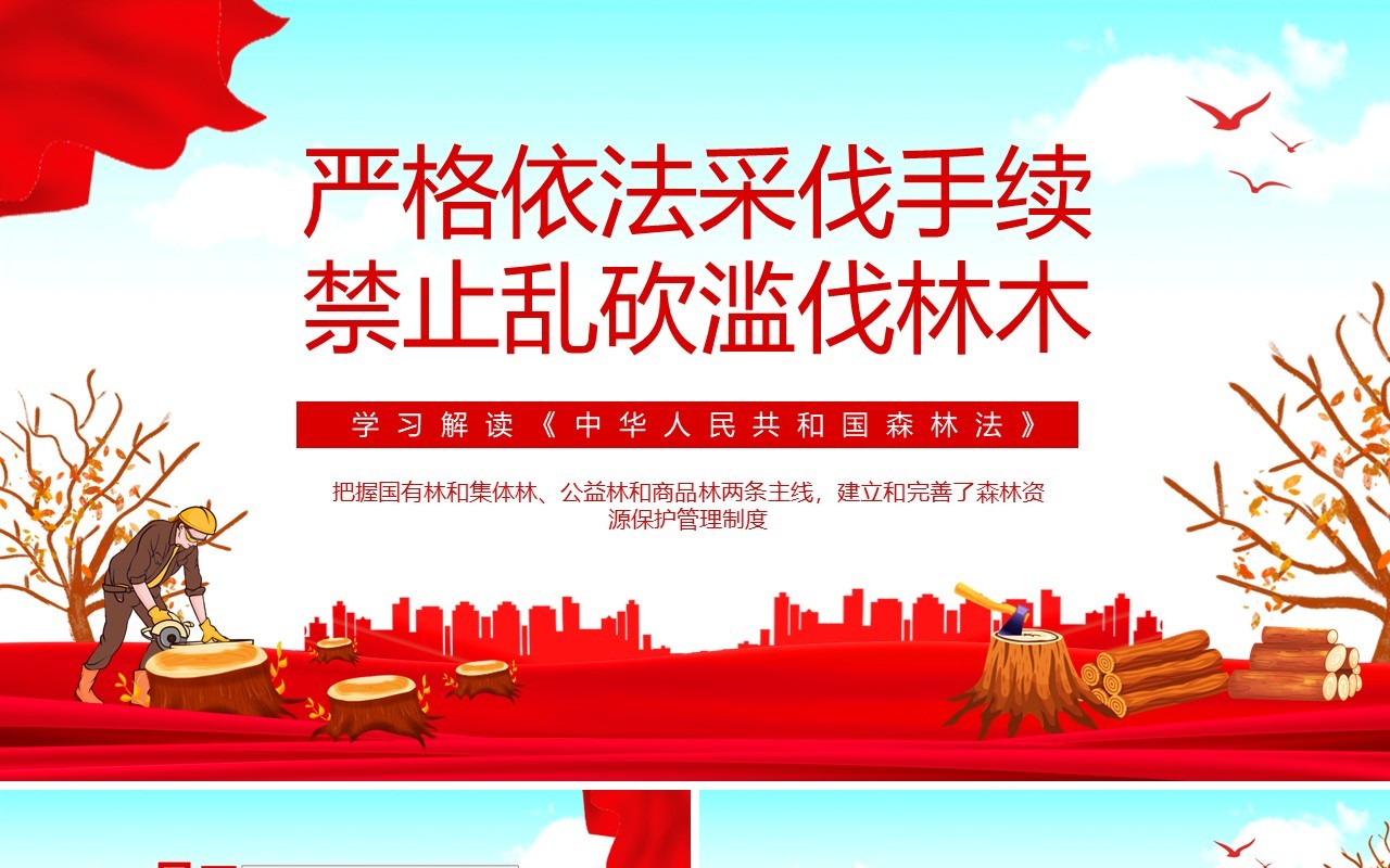 学习解读中华人民共和国森林法严格依法采伐手续禁止乱砍滥伐林木动态PPT模板