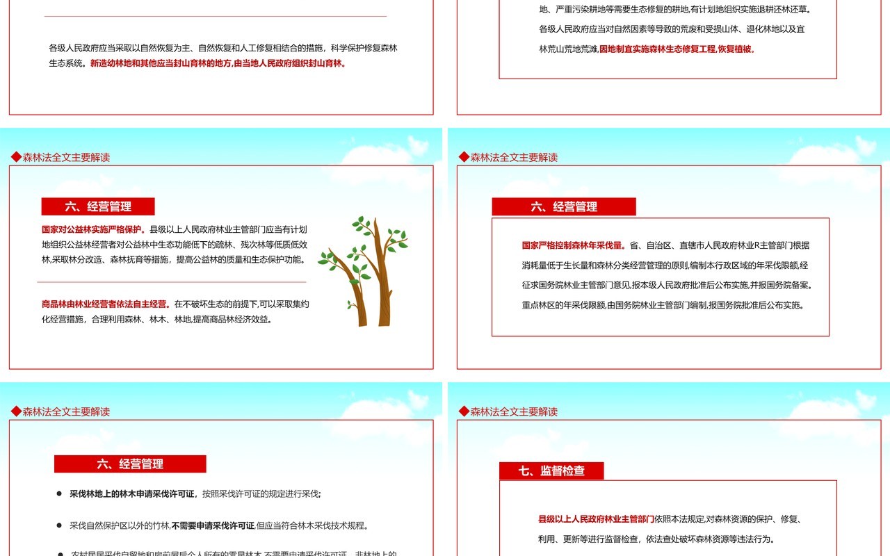 学习解读中华人民共和国森林法严格依法采伐手续禁止乱砍滥伐林木动态PPT模板