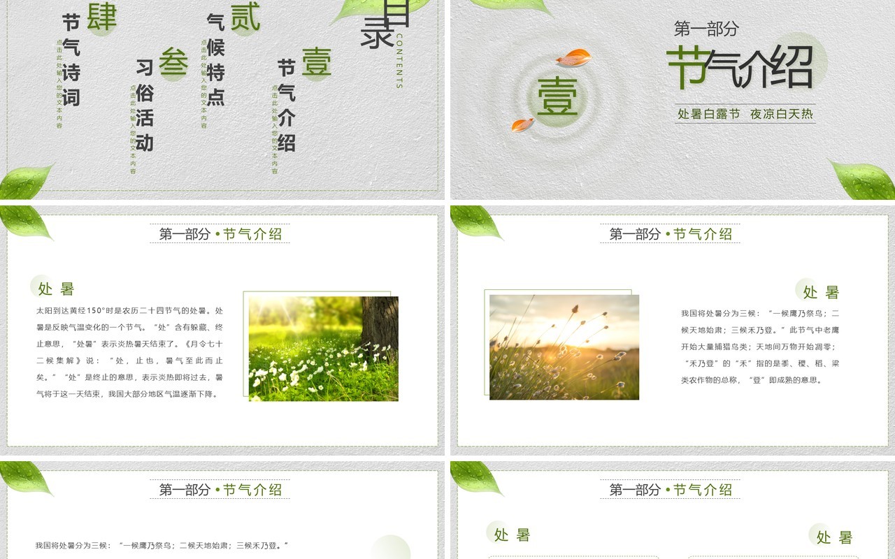 绿色简约风中国二十四节气之处暑介绍PPT模板