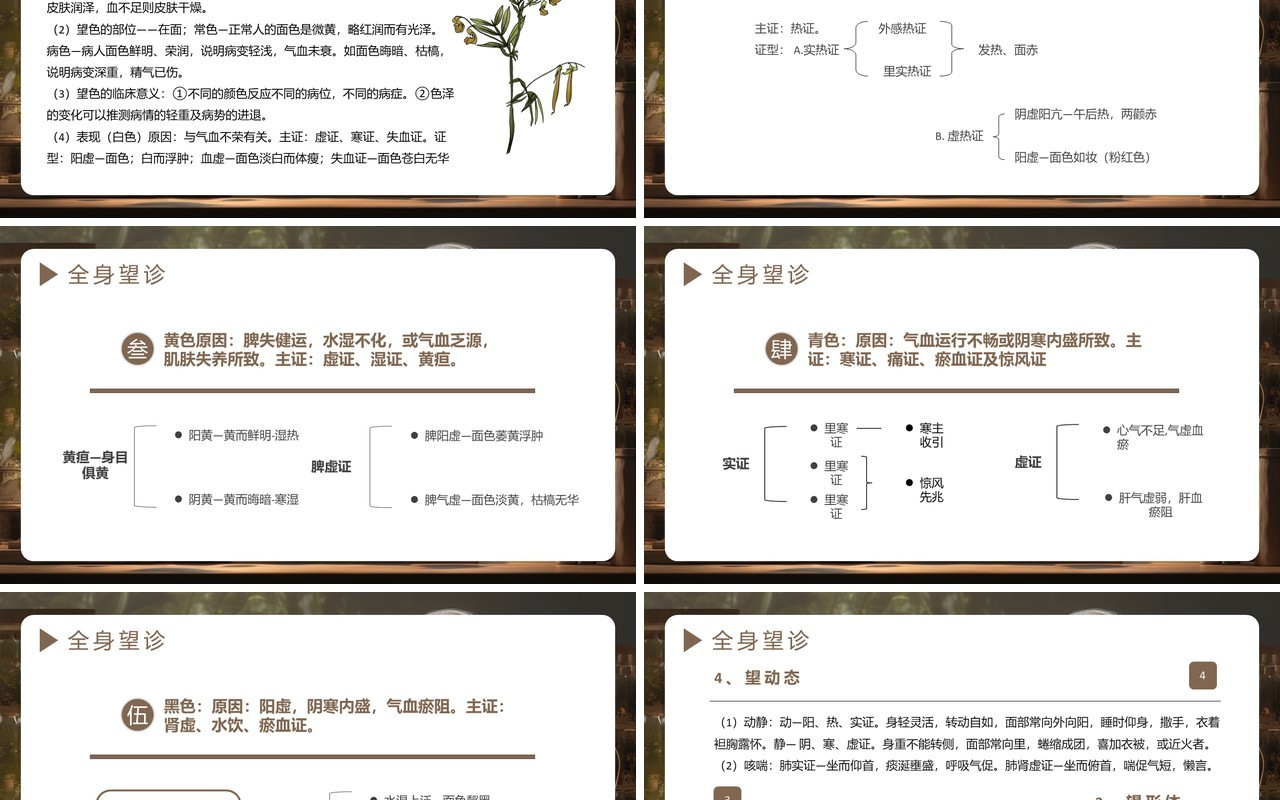 淡雅中国风传统文化中医四诊PPT模板
