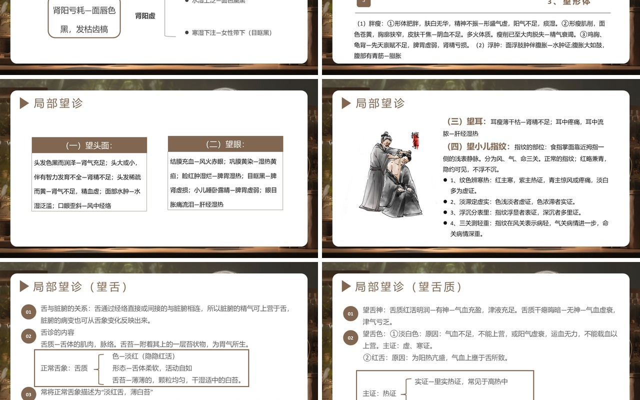 淡雅中国风传统文化中医四诊PPT模板