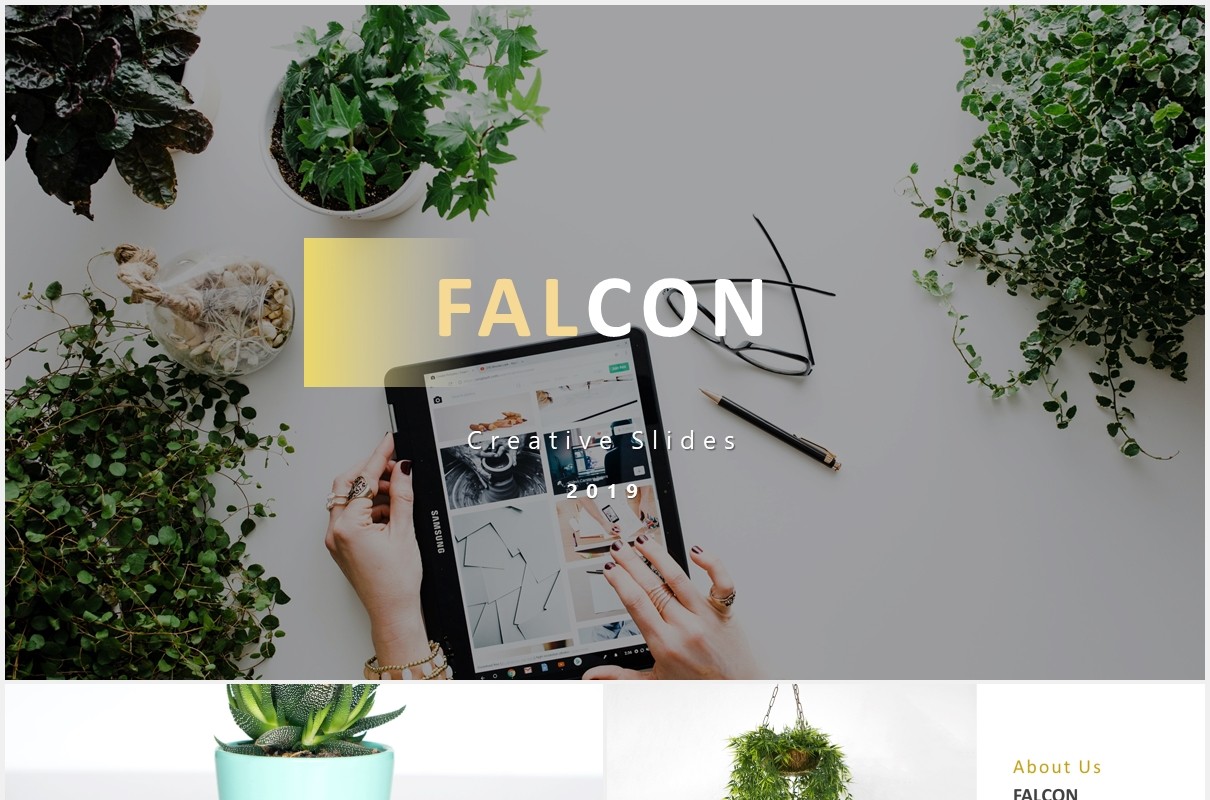 国外图片排版图表PPT模板falcon powerpoint template