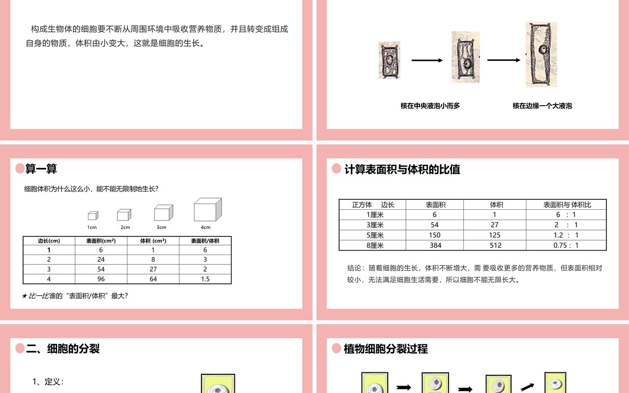 部编版七年级生物上册细胞通过分裂产生新细胞课件PPT模板