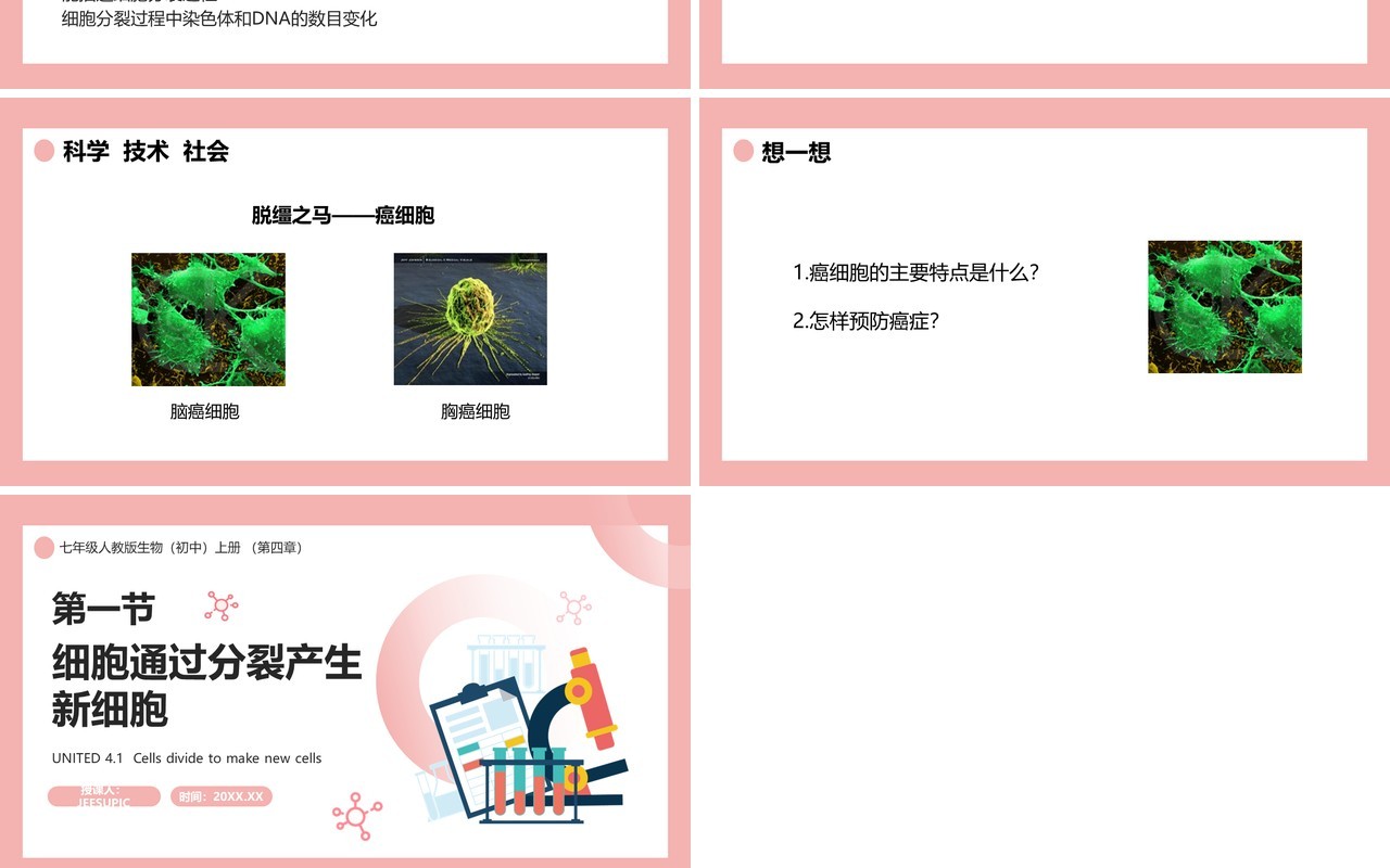 部编版七年级生物上册细胞通过分裂产生新细胞课件PPT模板