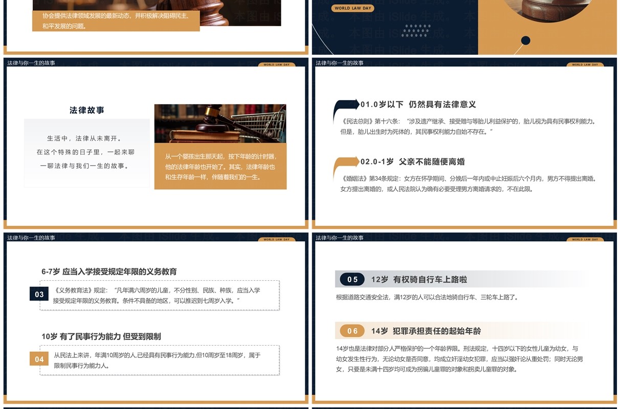 蓝棕色简约风世界法律日PPT模板