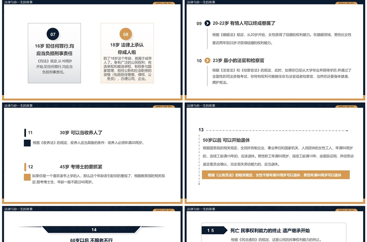 蓝棕色简约风世界法律日PPT模板