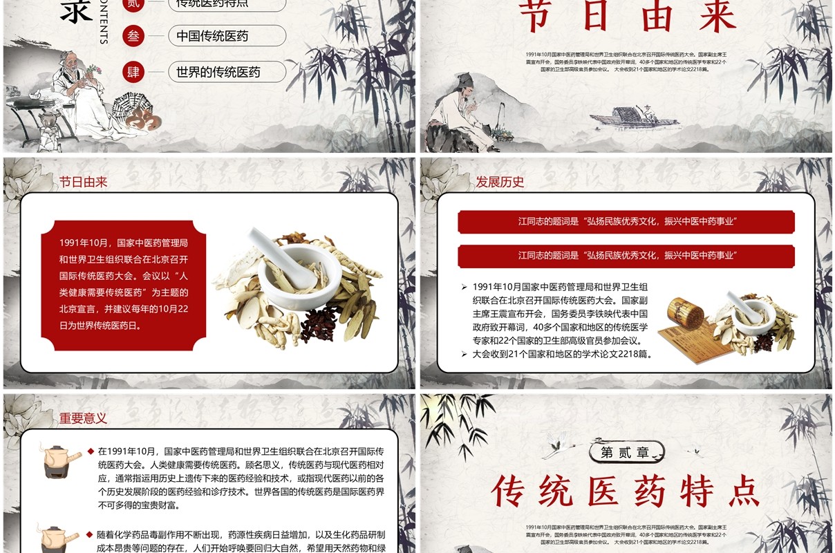 红色中国风世界传统医药日PPT模板