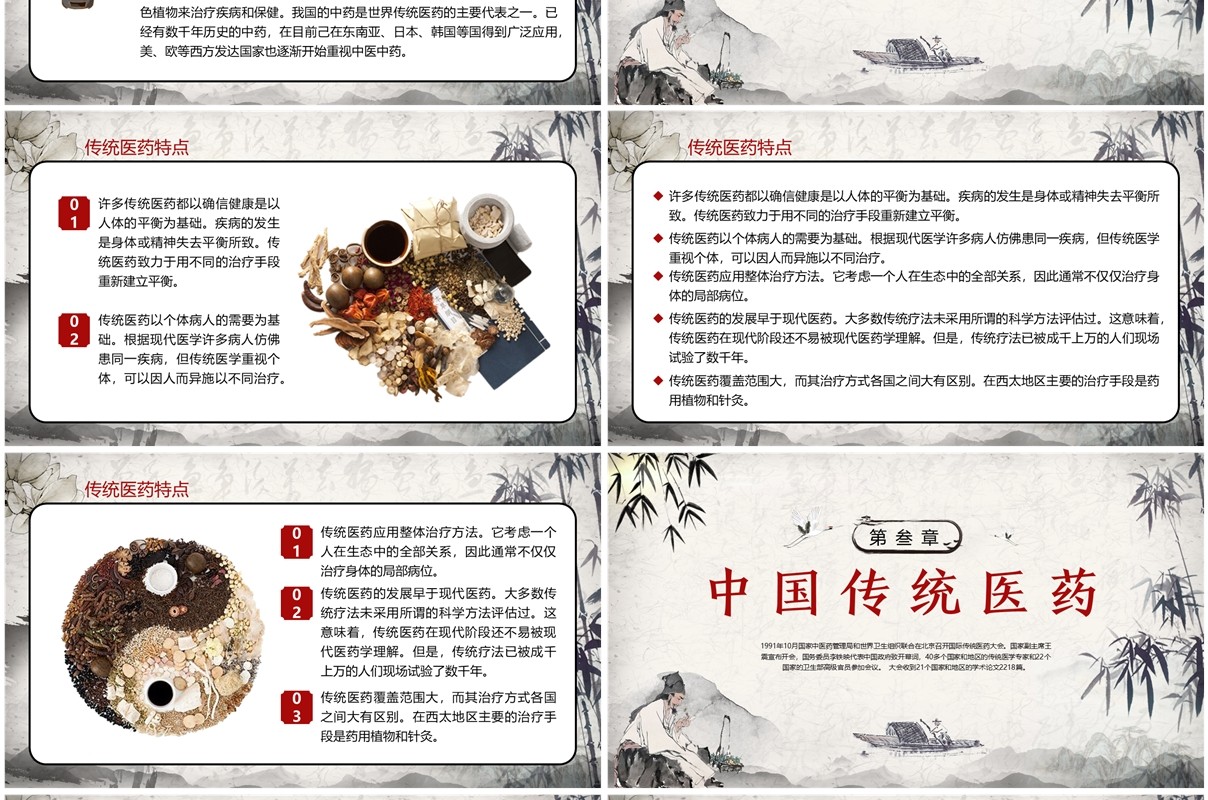 红色中国风世界传统医药日PPT模板