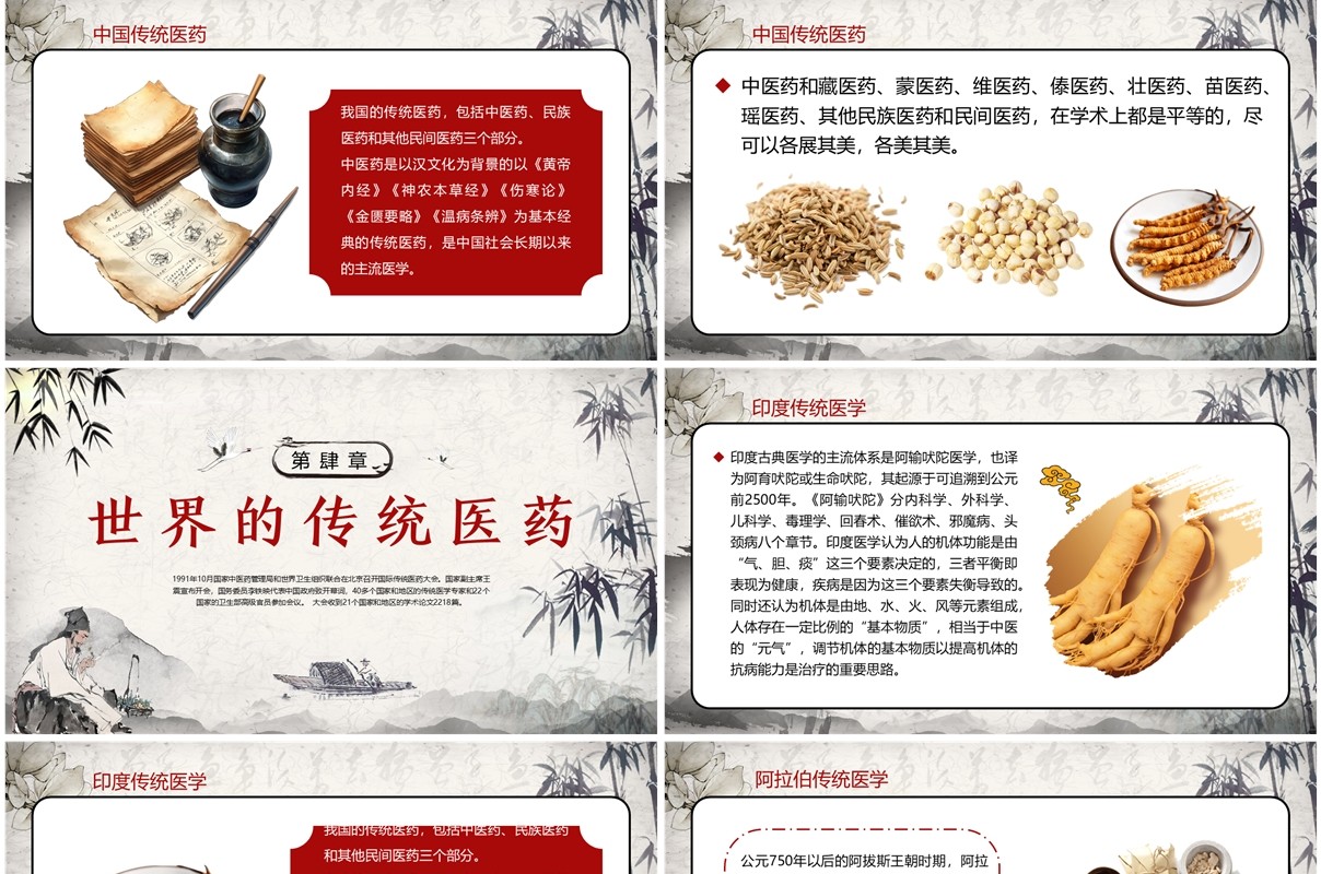 红色中国风世界传统医药日PPT模板