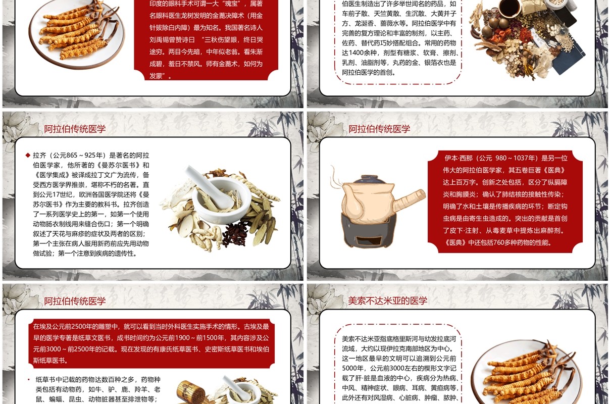 红色中国风世界传统医药日PPT模板