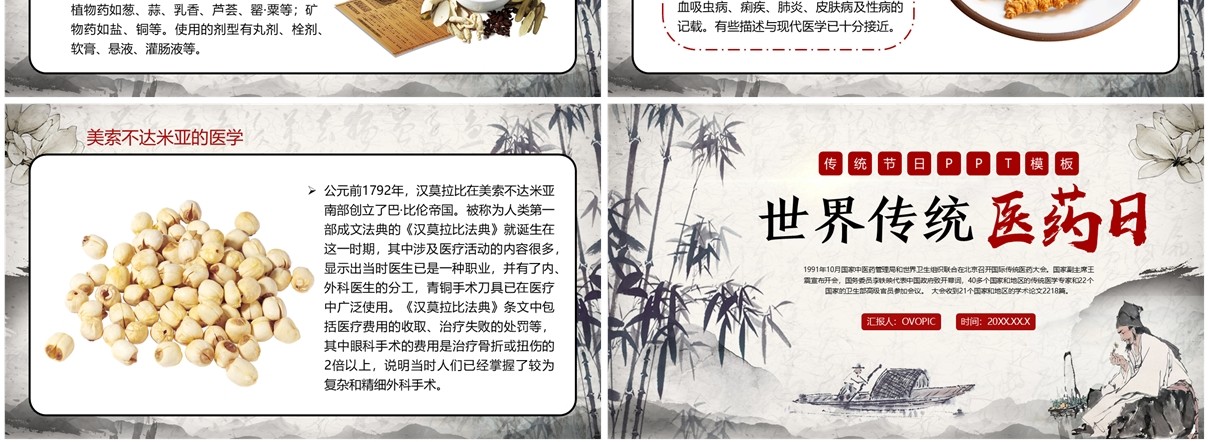 红色中国风世界传统医药日PPT模板