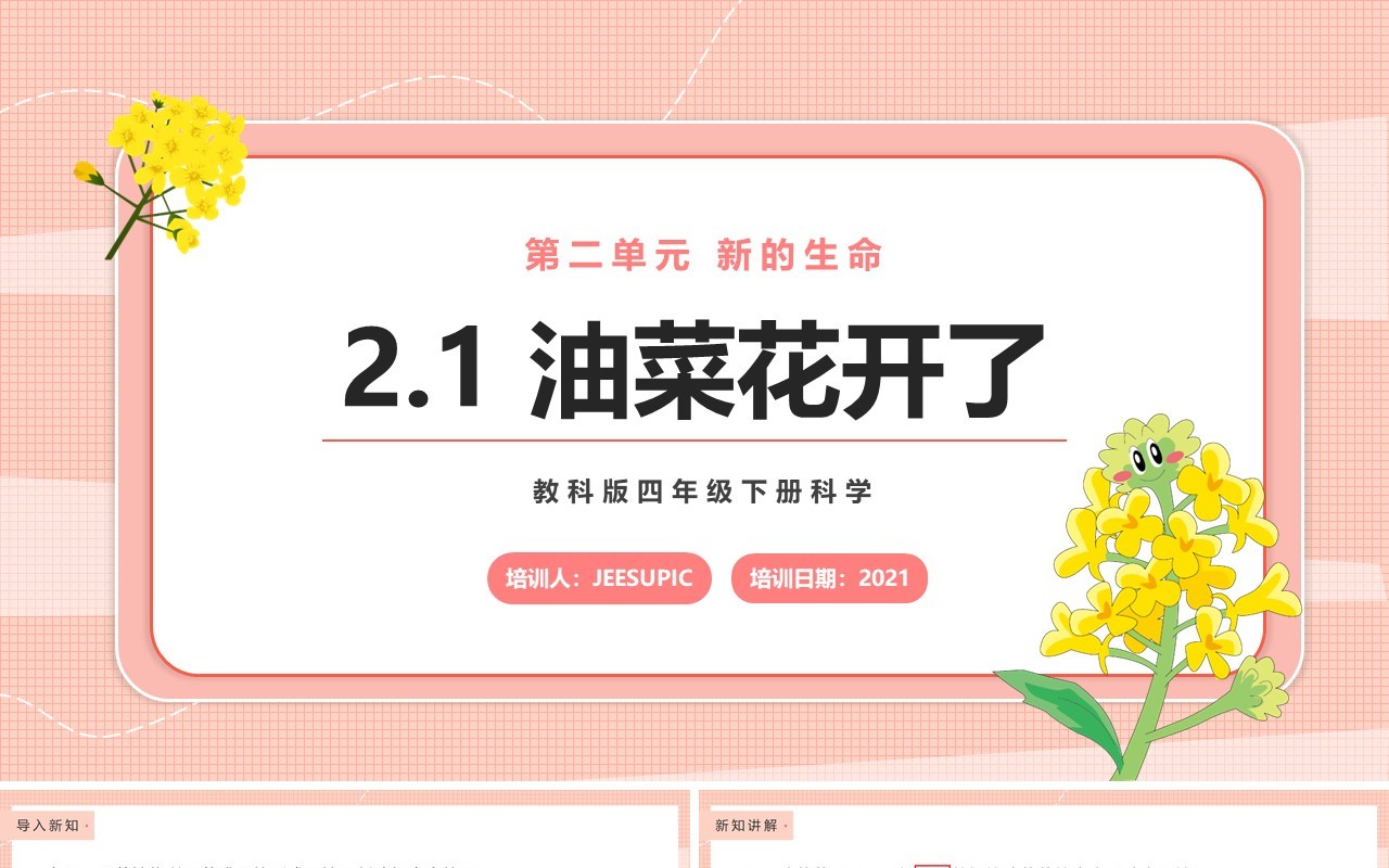 教科版四年级下册油菜花开了课件PPT模板