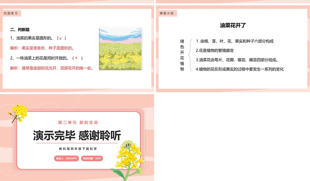教科版四年级下册油菜花开了课件PPT模板