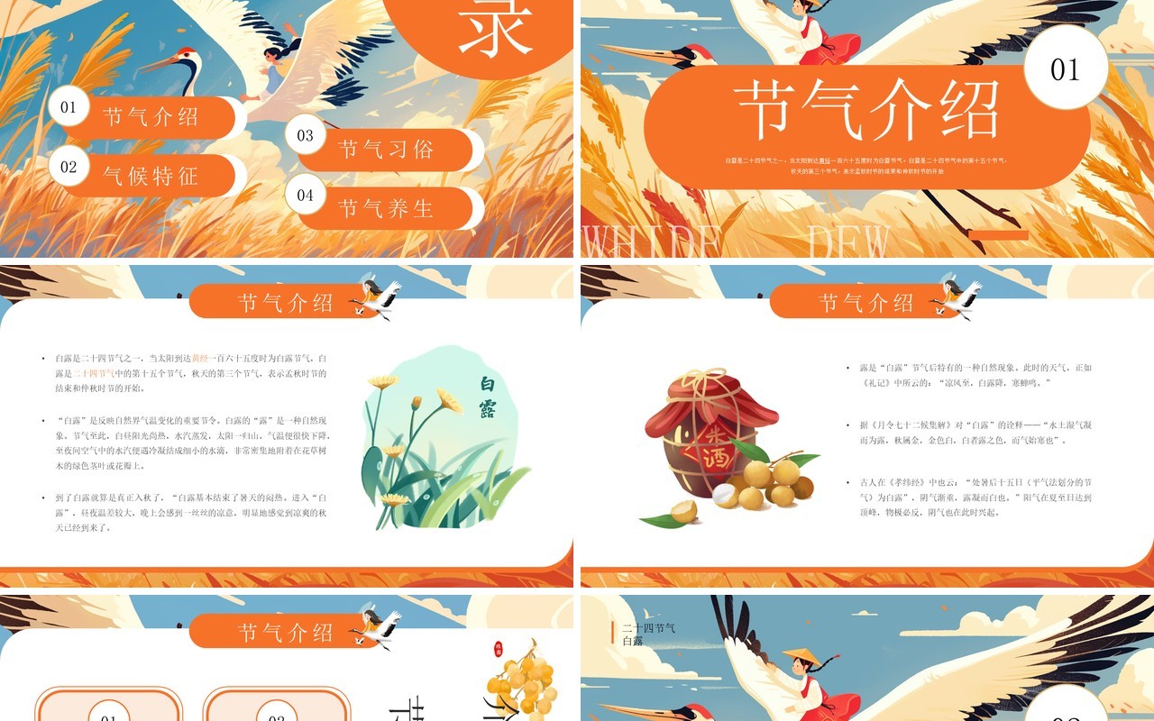 橙色插画风二十四节气之白露介绍PPT模板