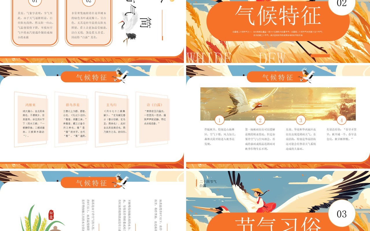 橙色插画风二十四节气之白露介绍PPT模板