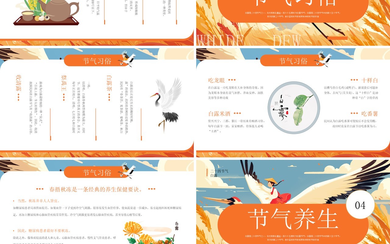 橙色插画风二十四节气之白露介绍PPT模板