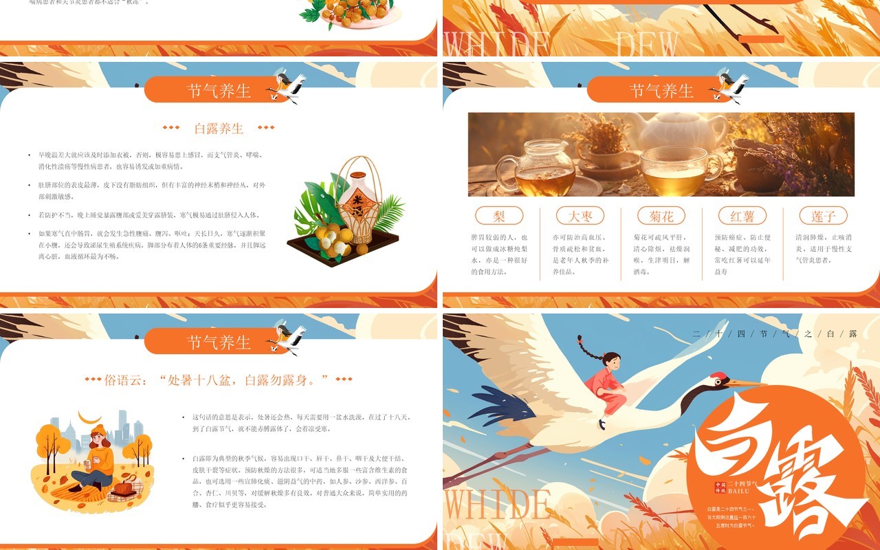 橙色插画风二十四节气之白露介绍PPT模板
