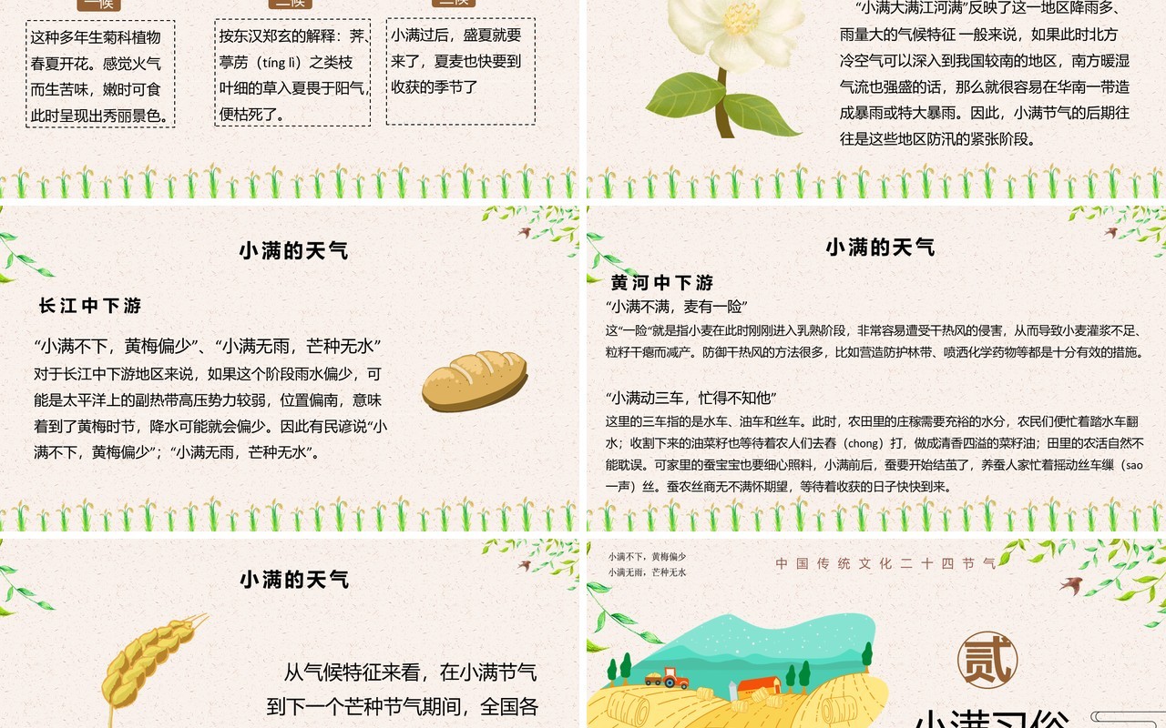 小清新卡通二十四节气之小满PPT模板