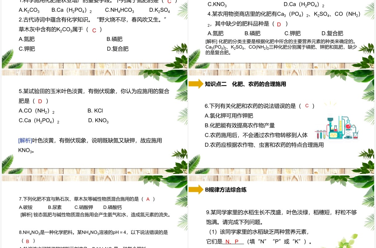 部编版九年级化学下册化学肥料课件PPT模板
