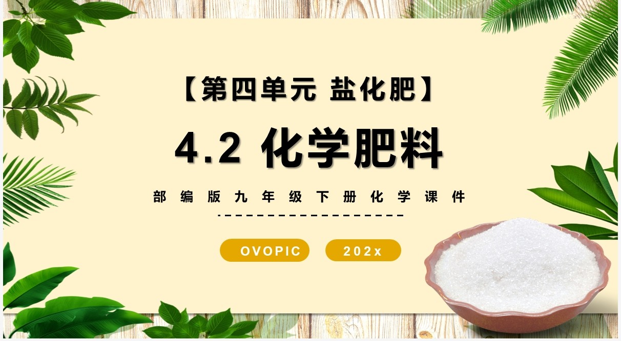 部编版九年级化学下册化学肥料课件PPT模板
