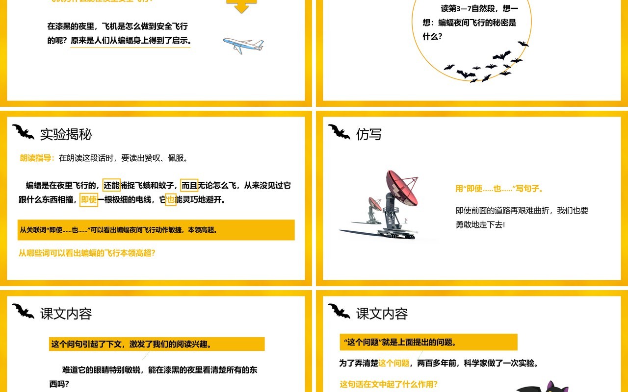 部编版四年级语文上册蝙蝠和雷达课件PPT模板