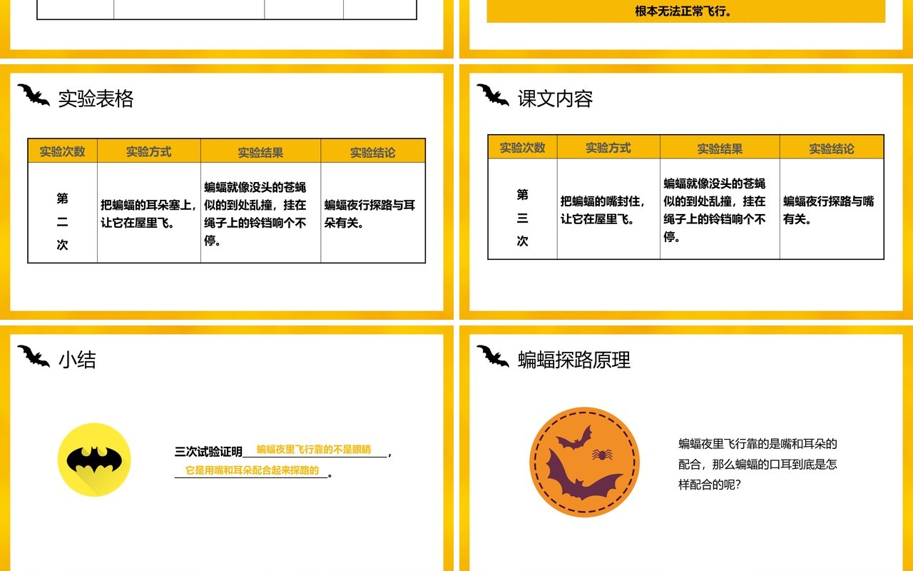 部编版四年级语文上册蝙蝠和雷达课件PPT模板