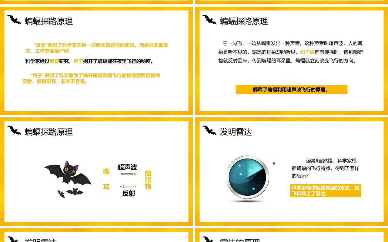 部编版四年级语文上册蝙蝠和雷达课件PPT模板