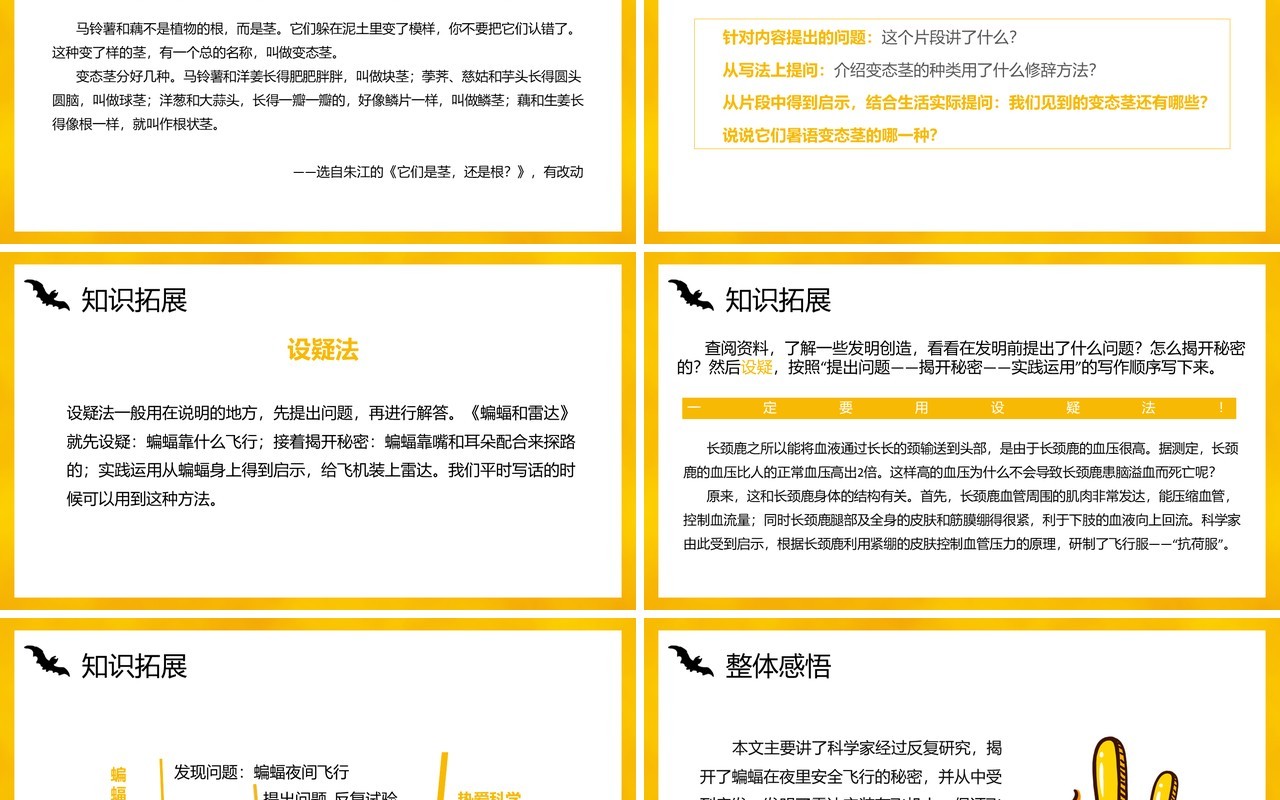 部编版四年级语文上册蝙蝠和雷达课件PPT模板