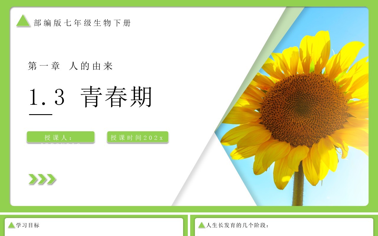 部编版七年级生物下册青春期课件PPT模板