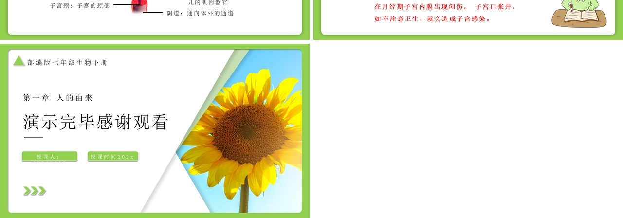 部编版七年级生物下册青春期课件PPT模板
