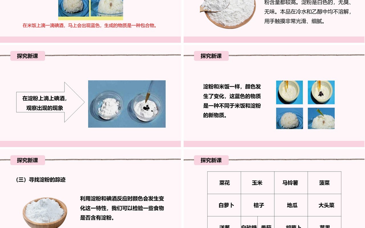 教科版六年级科学下册米饭、淀粉和碘酒的变化课件PPT模板