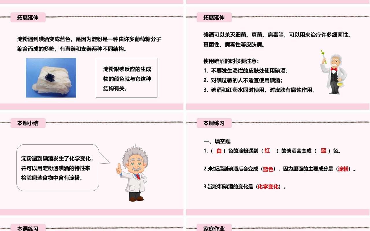 教科版六年级科学下册米饭、淀粉和碘酒的变化课件PPT模板