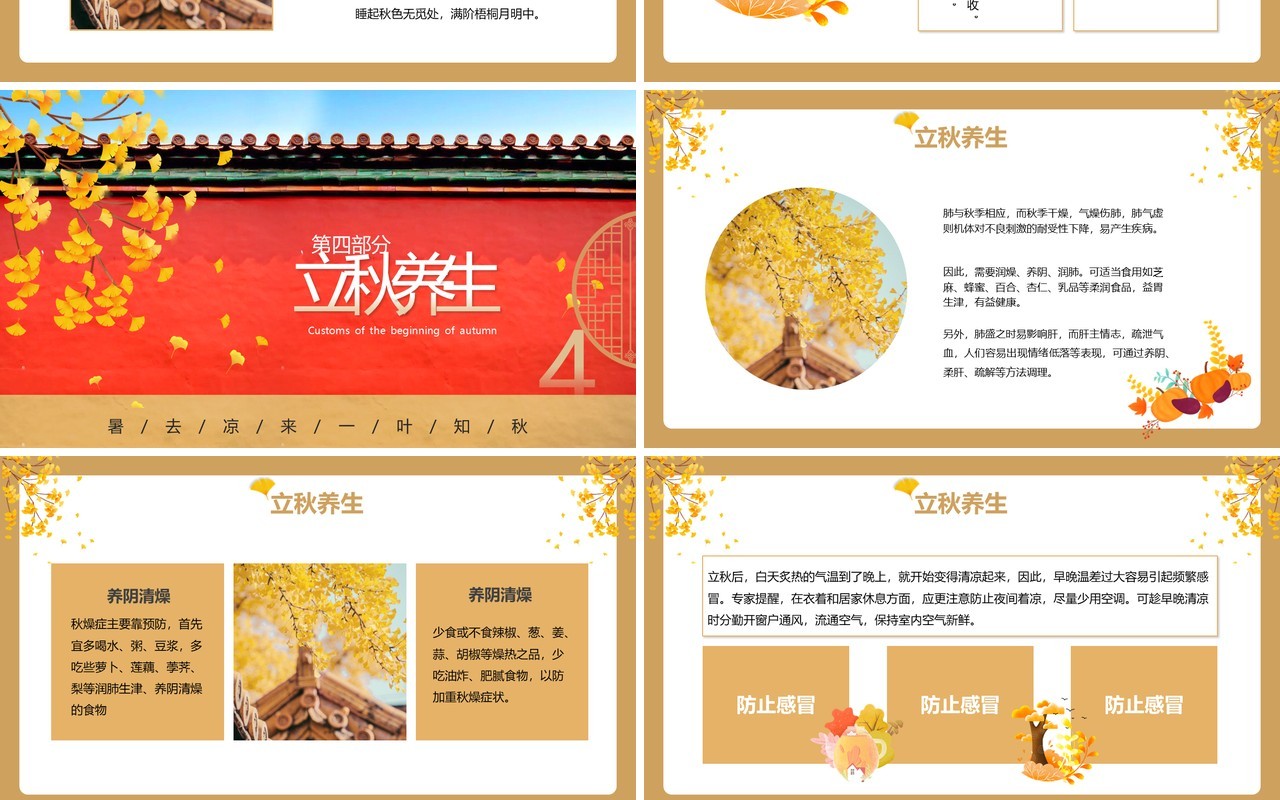 红色简约风中国二十四节气立秋宣传介绍PPT模板