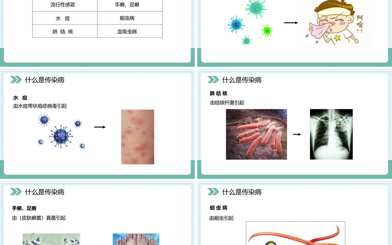 部编版八年级生物下册传染病及其预防课件PPT模板