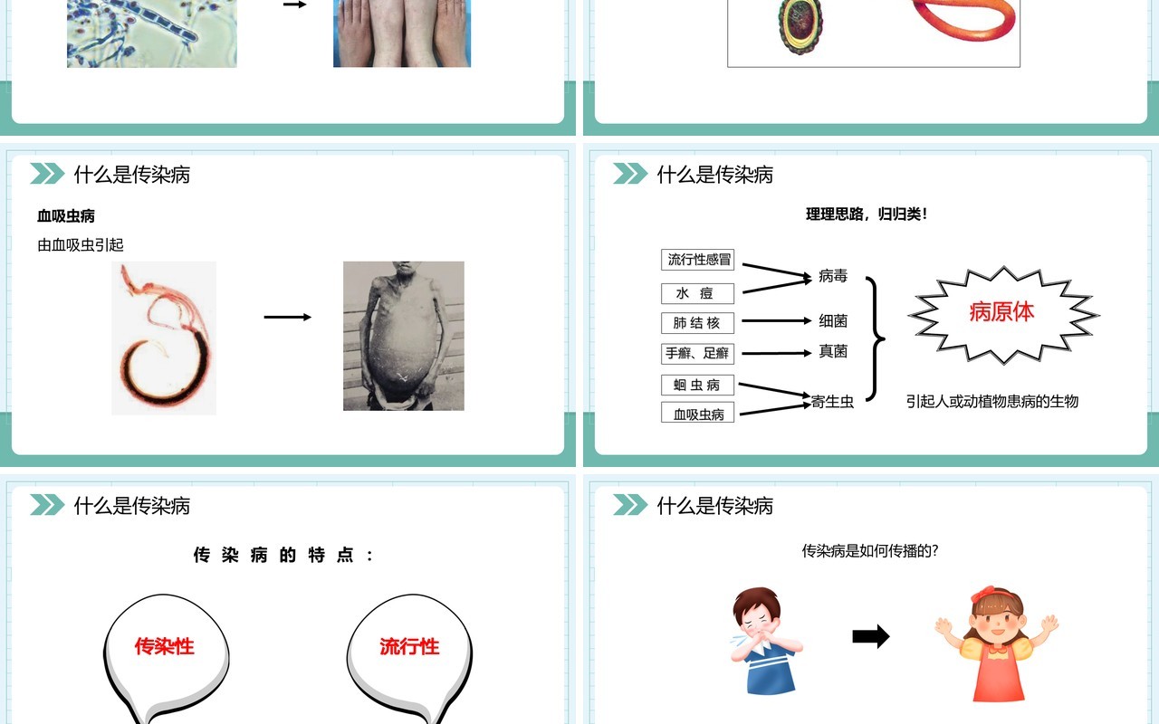部编版八年级生物下册传染病及其预防课件PPT模板