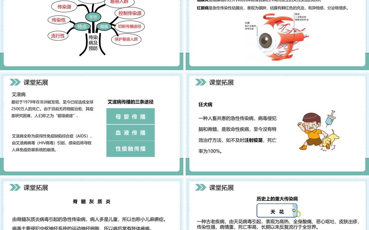 部编版八年级生物下册传染病及其预防课件PPT模板