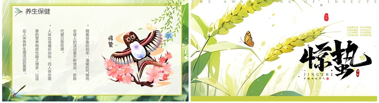 绿色插画风二十四节气之惊蛰PPT模板