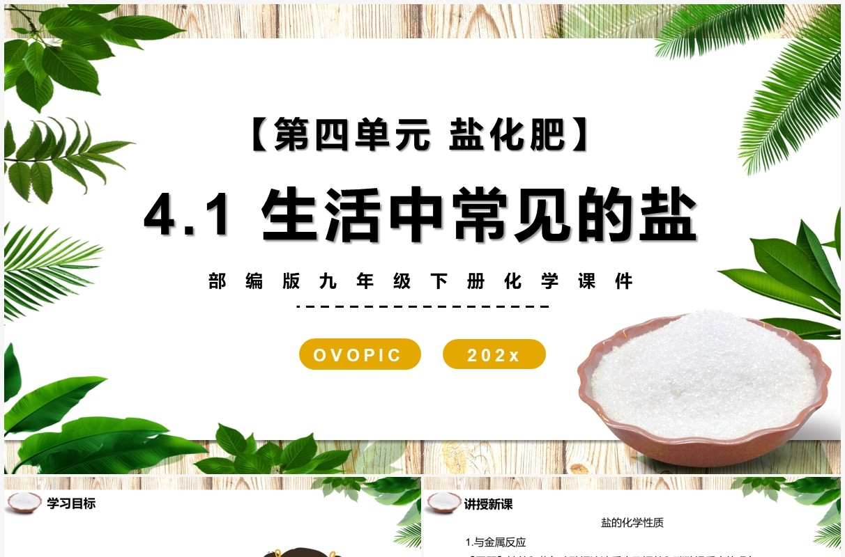 部编版九年级化学下册生活中常见的盐课件PPT模板