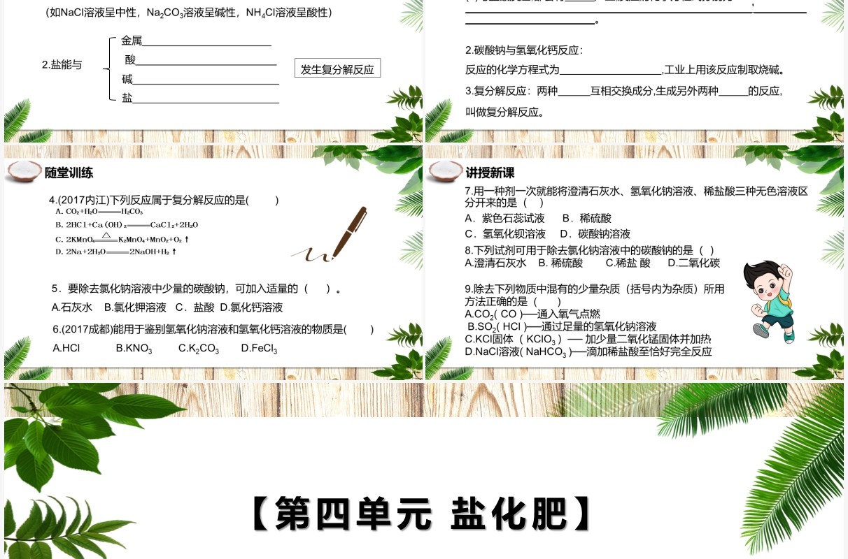 部编版九年级化学下册生活中常见的盐课件PPT模板