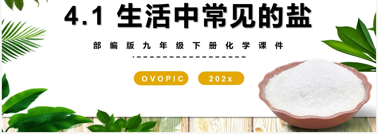 部编版九年级化学下册生活中常见的盐课件PPT模板