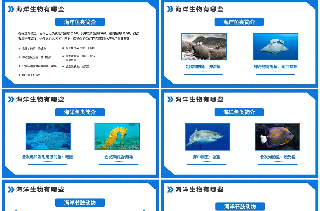 蓝色简约风保护海洋资源世界海洋日PPT模板