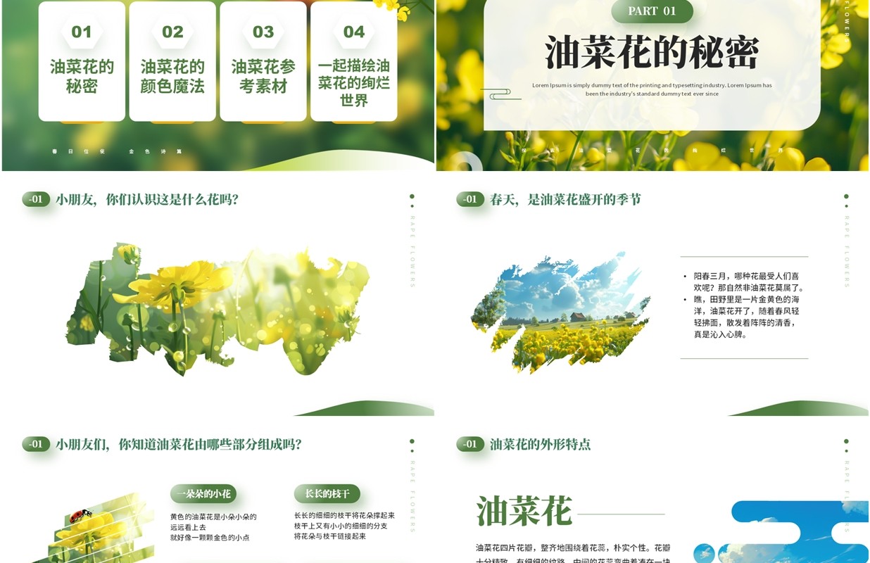 绿色小清新油菜花开美术课件PPT模板
