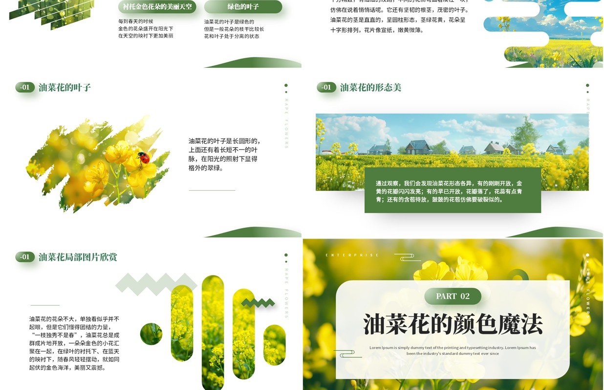 绿色小清新油菜花开美术课件PPT模板