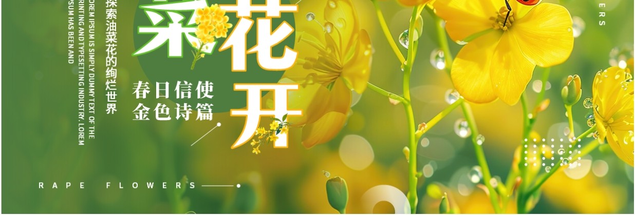 绿色小清新油菜花开美术课件PPT模板