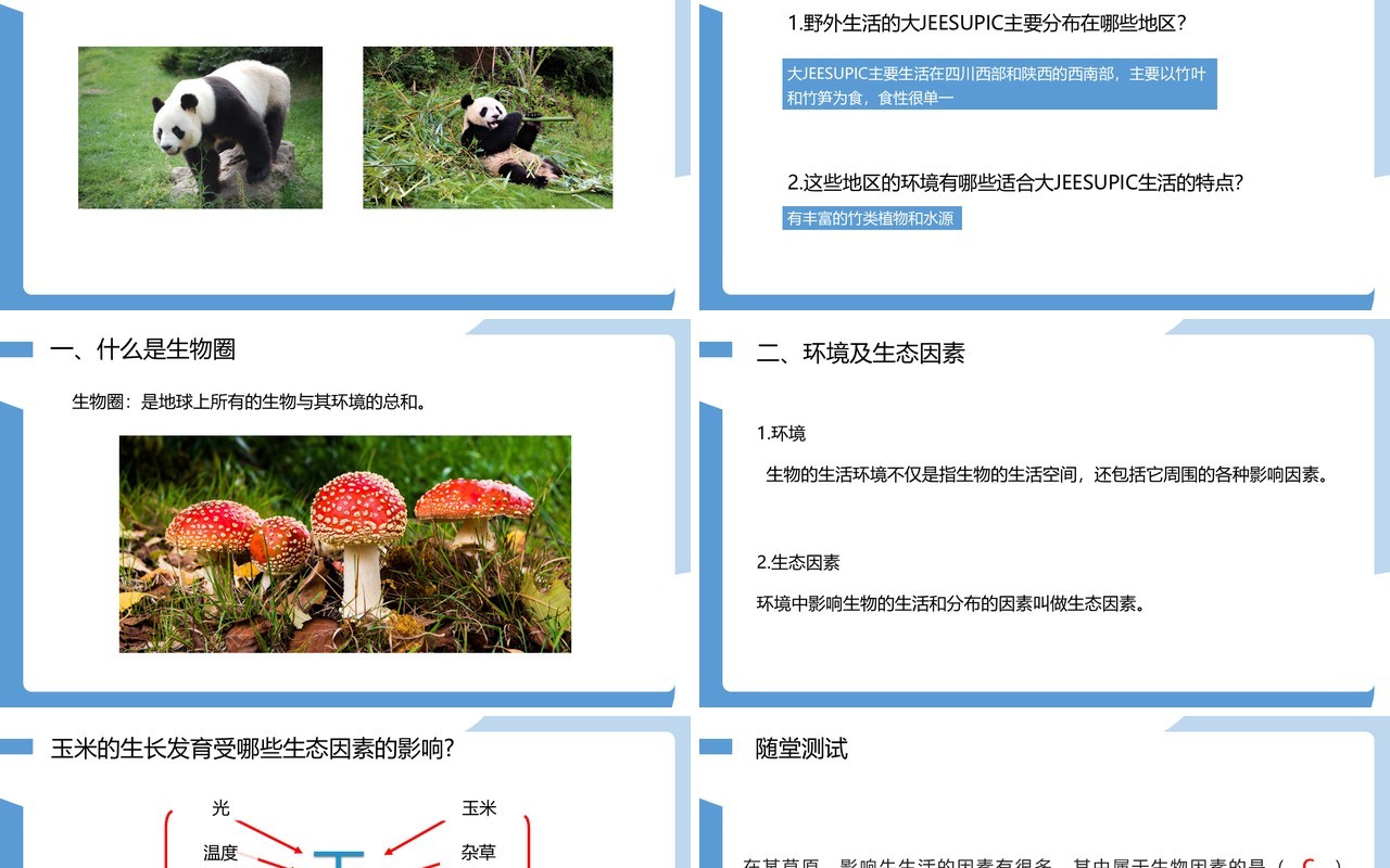 部编版七年级生物上册生物与环境的关系课件PPT模板